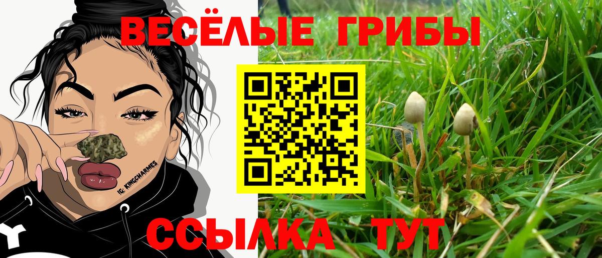 Псилоцибиновые грибы Psilocybine cubensis  купить наркотики сайты  Домодедово 