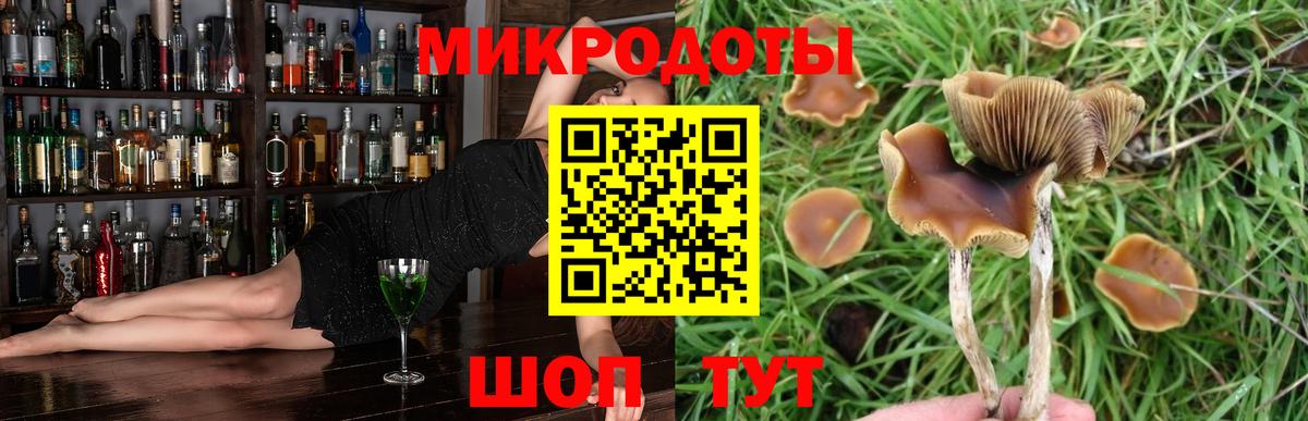 Псилоцибиновые грибы Magic Shrooms Домодедово
